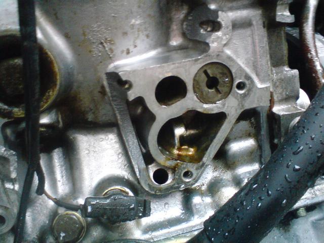 DSC00028.JPG