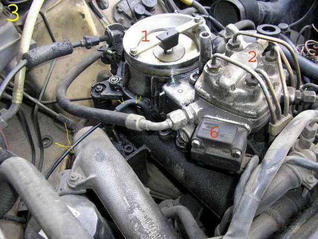 P8140521_1_.jpg