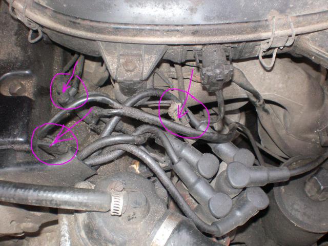 PICT0669.JPG