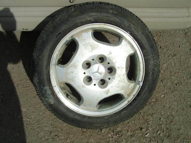 P1010034.JPG