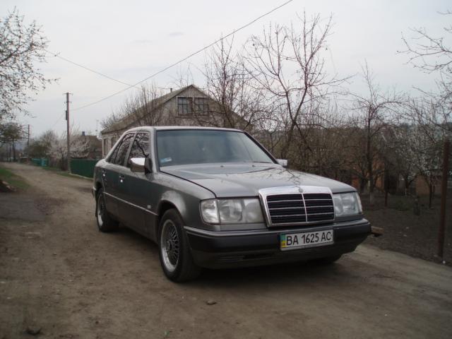 P4126539.JPG
