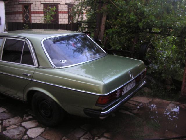 PICT0040.JPG