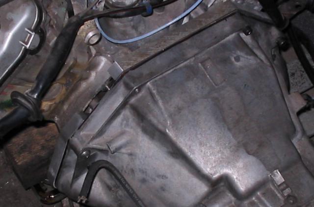 mounted01.jpg
