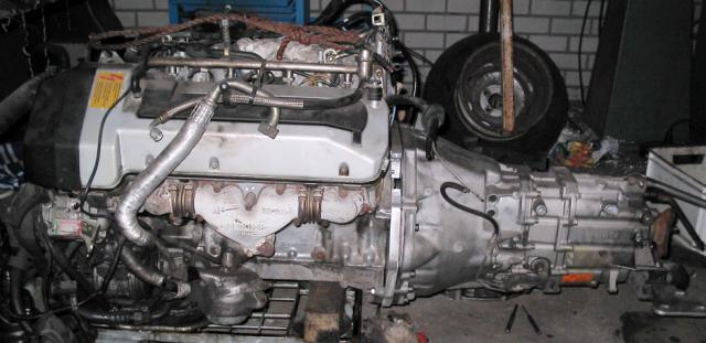 mounted03.jpg