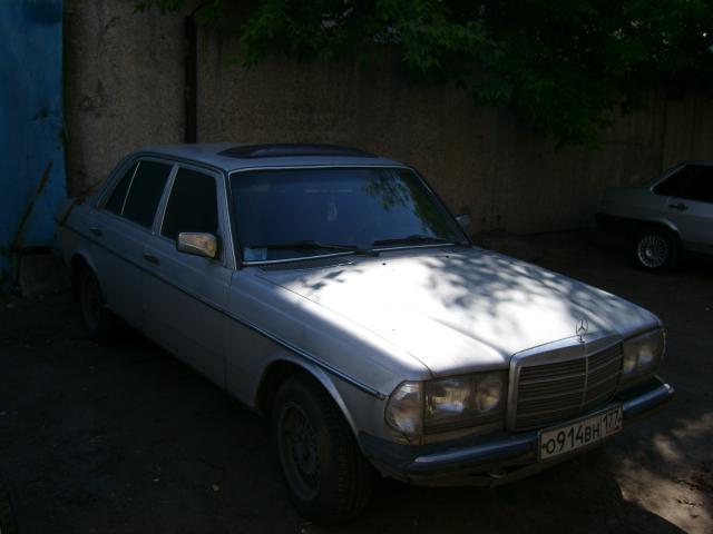 STP61832.JPG