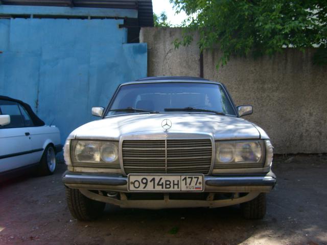 STP61834.JPG