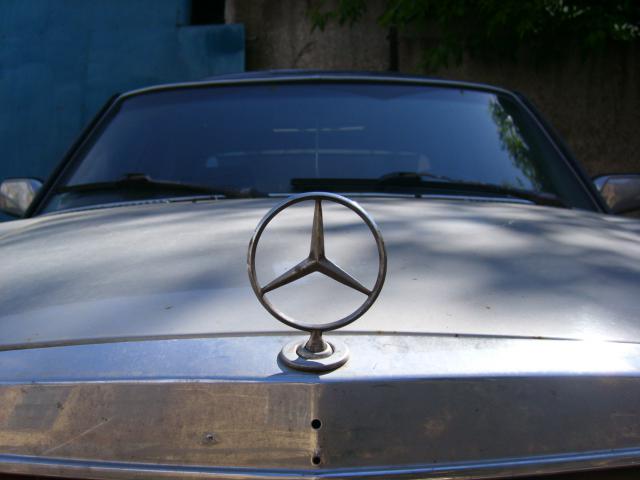 STP61835.JPG