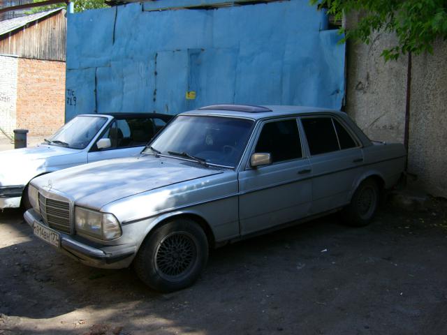 STP61833.JPG