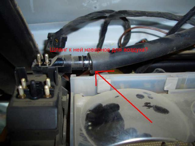 CIMG4770_2.jpg