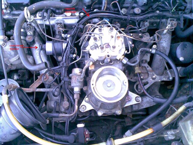 28052008_002_.jpg
