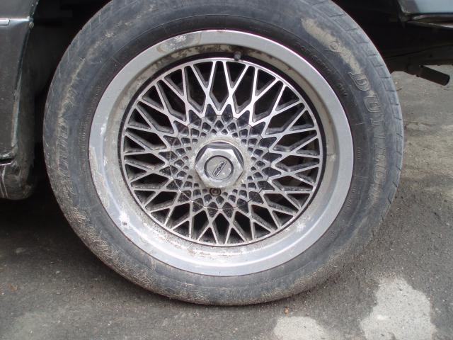 P6157245.JPG