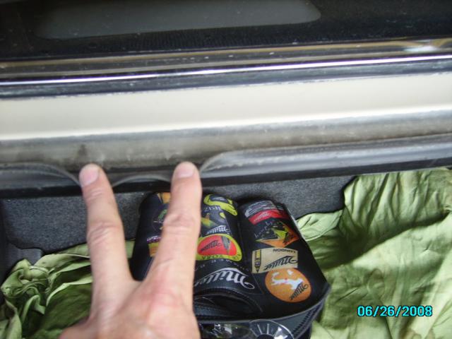 IMGP0202.jpg