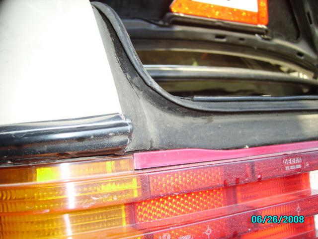 IMGP0203.jpg