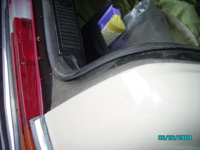 IMGP0206.jpg
