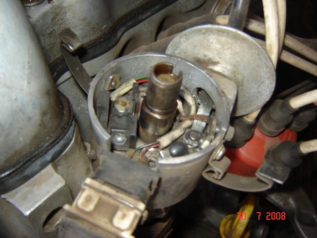 DSC08825.jpg