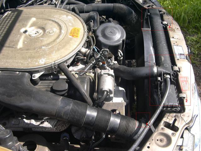 P1000186_______.JPG