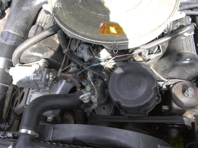 P1000187___________.JPG