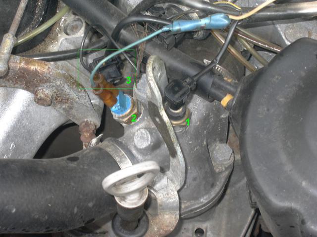 P10001880___________.JPG