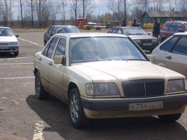Old_Merin10.jpg