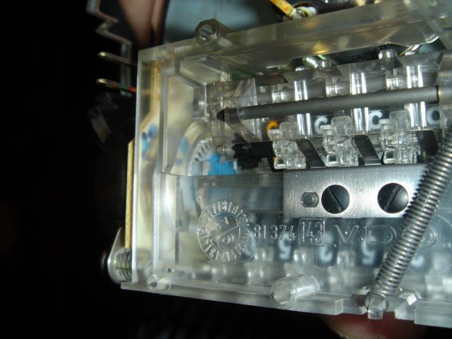DSC01353.JPG