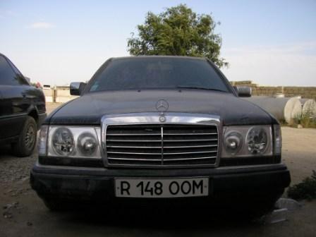 P5031986_.JPG