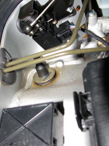 IMG1.JPG