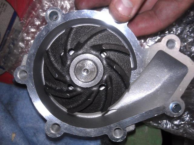IMAG0947.jpg
