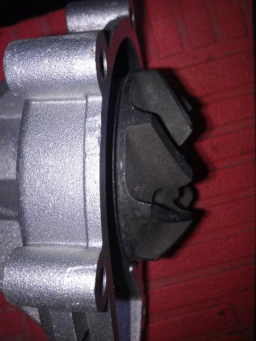 IMAG0971.jpg