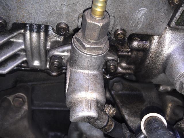 IMAG0980.jpg