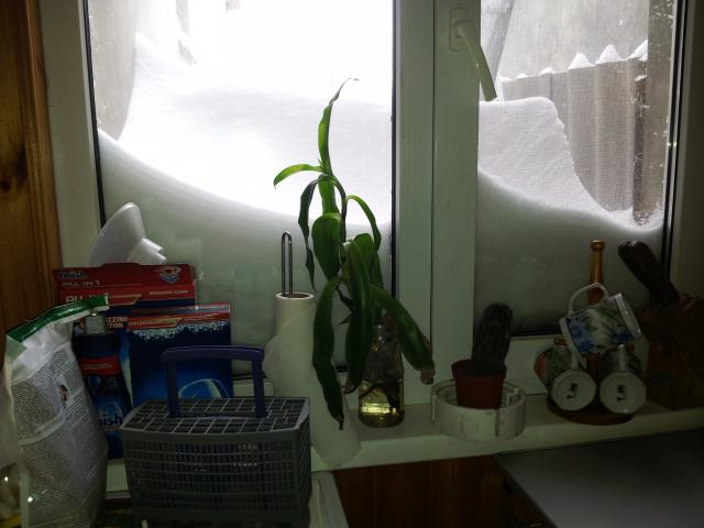 20140129_134328.jpg