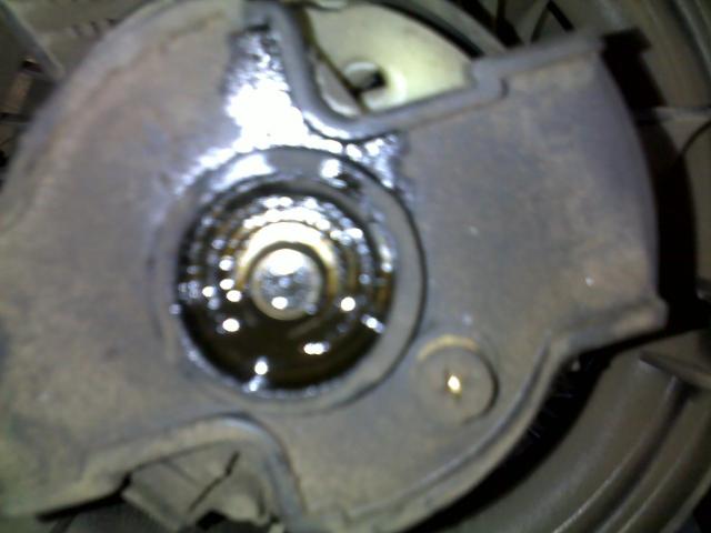 06022011050.jpg
