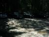DSCN2975.jpg