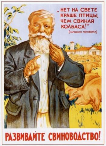 a5559e5f1d1853abf5.jpg