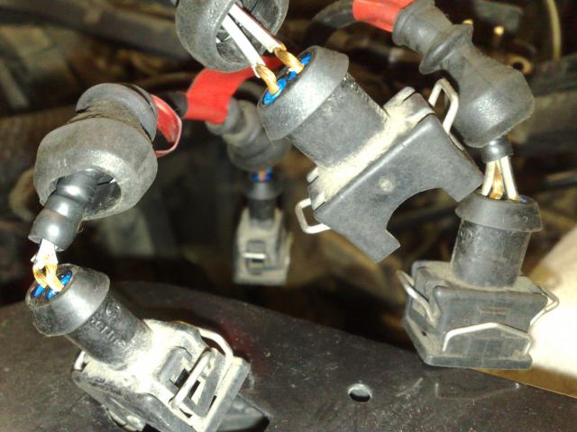 241020121375.jpg