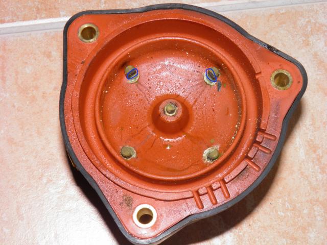 PB100248_1.JPG