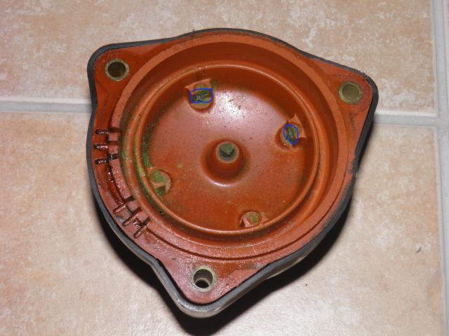 PB100249_1.JPG