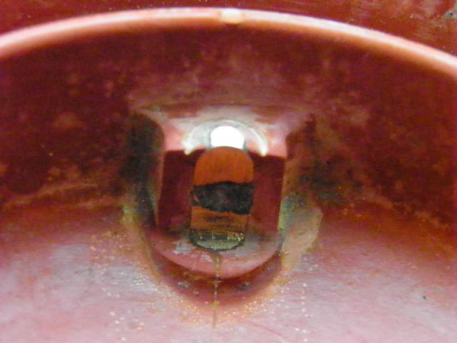 PB110258.JPG