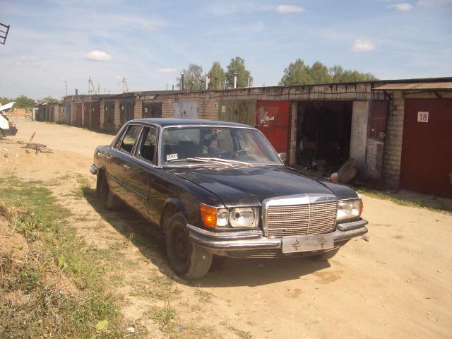 IMGP4769.JPG