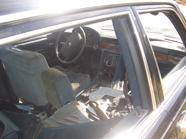 IMGP4770.JPG