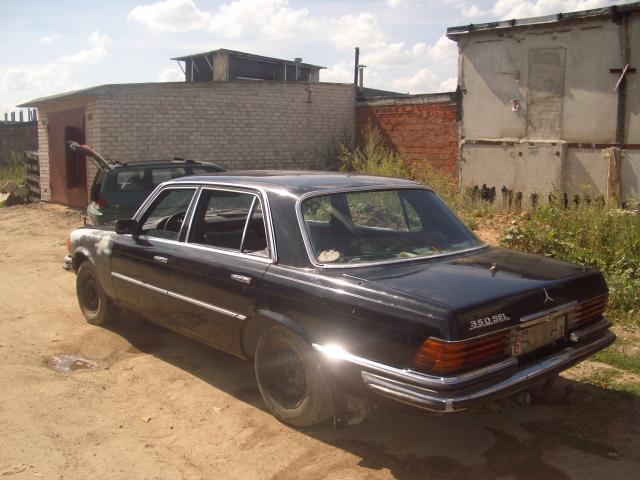 IMGP4767.JPG