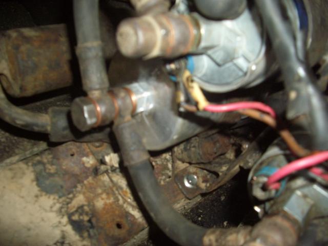 IMGP5108.JPG