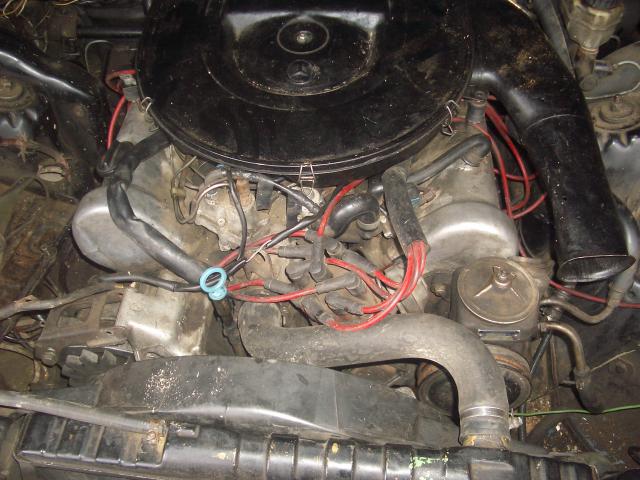 IMGP4682.JPG