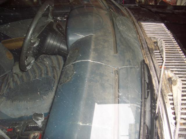 IMGP5288.JPG