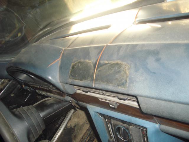 IMGP4742.JPG