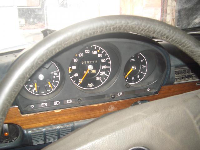 IMGP4662.JPG