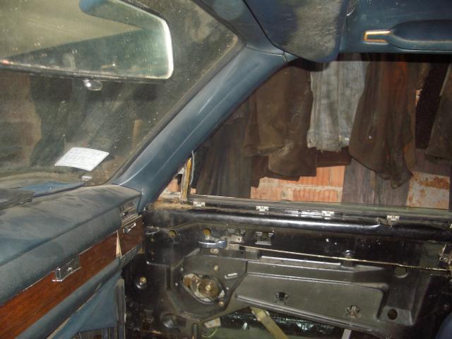 IMGP4660.JPG