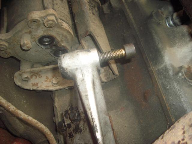 IMGP4556.JPG