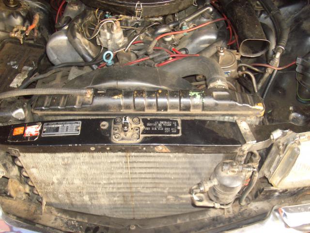 IMGP5202.JPG
