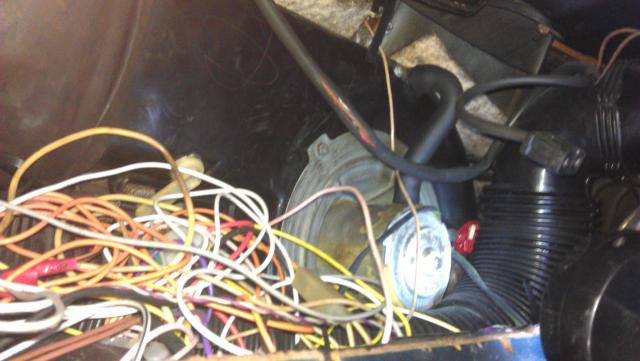 IMAG0234.jpg