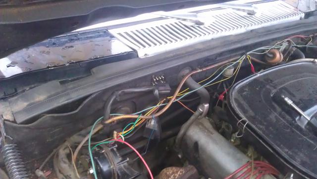 IMAG0216.jpg